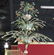 PALATIAL 7 FOOT MURANO VENETIAN GLASS CHANDELIER - 2