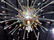PALATIAL 7 FOOT MURANO VENETIAN GLASS CHANDELIER - 6
