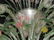 PALATIAL 7 FOOT MURANO VENETIAN GLASS CHANDELIER - 7