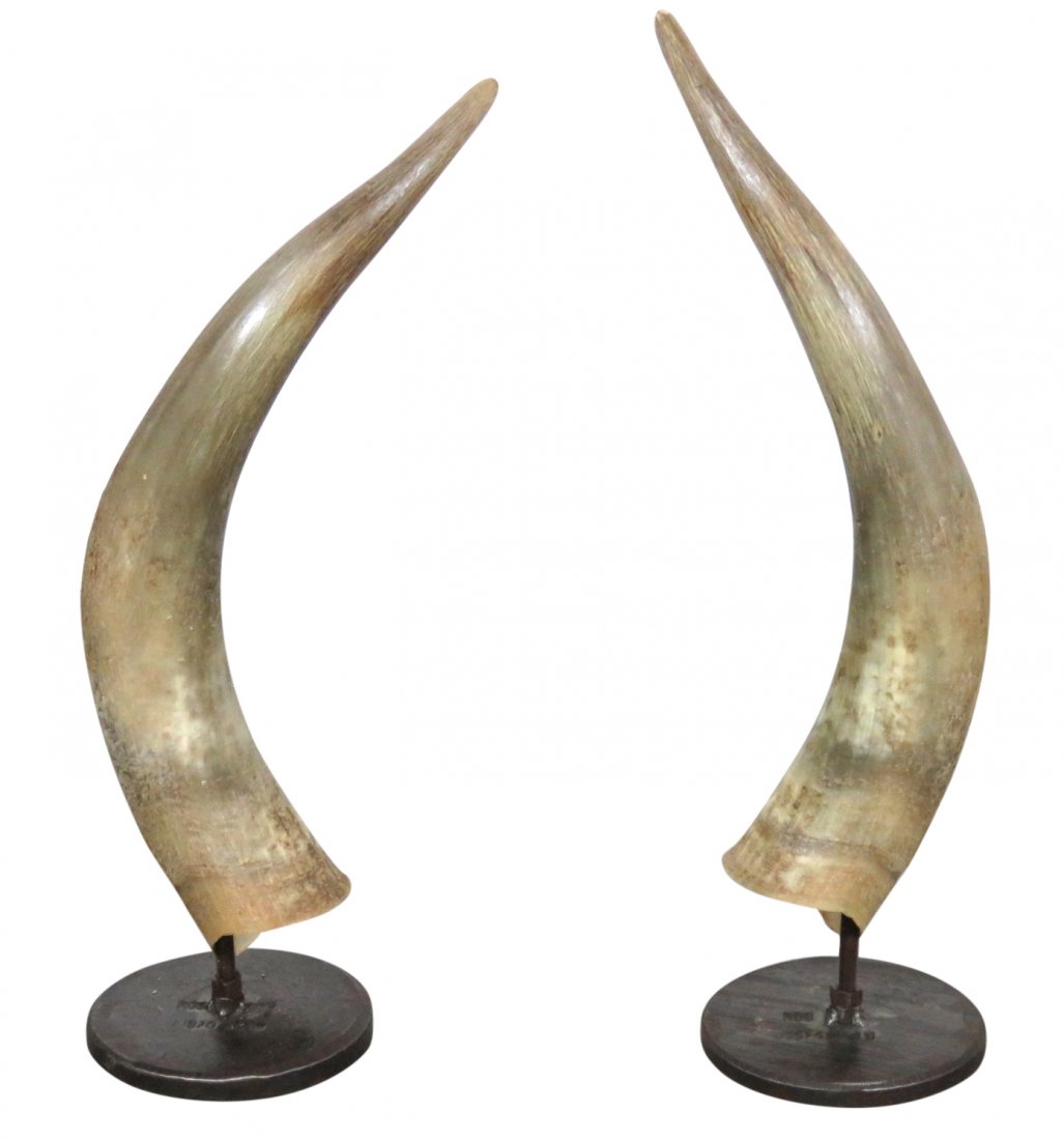 Pair 23" STEER HORNS on IRON BASES (1 of 4)