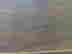 item-50320200=7