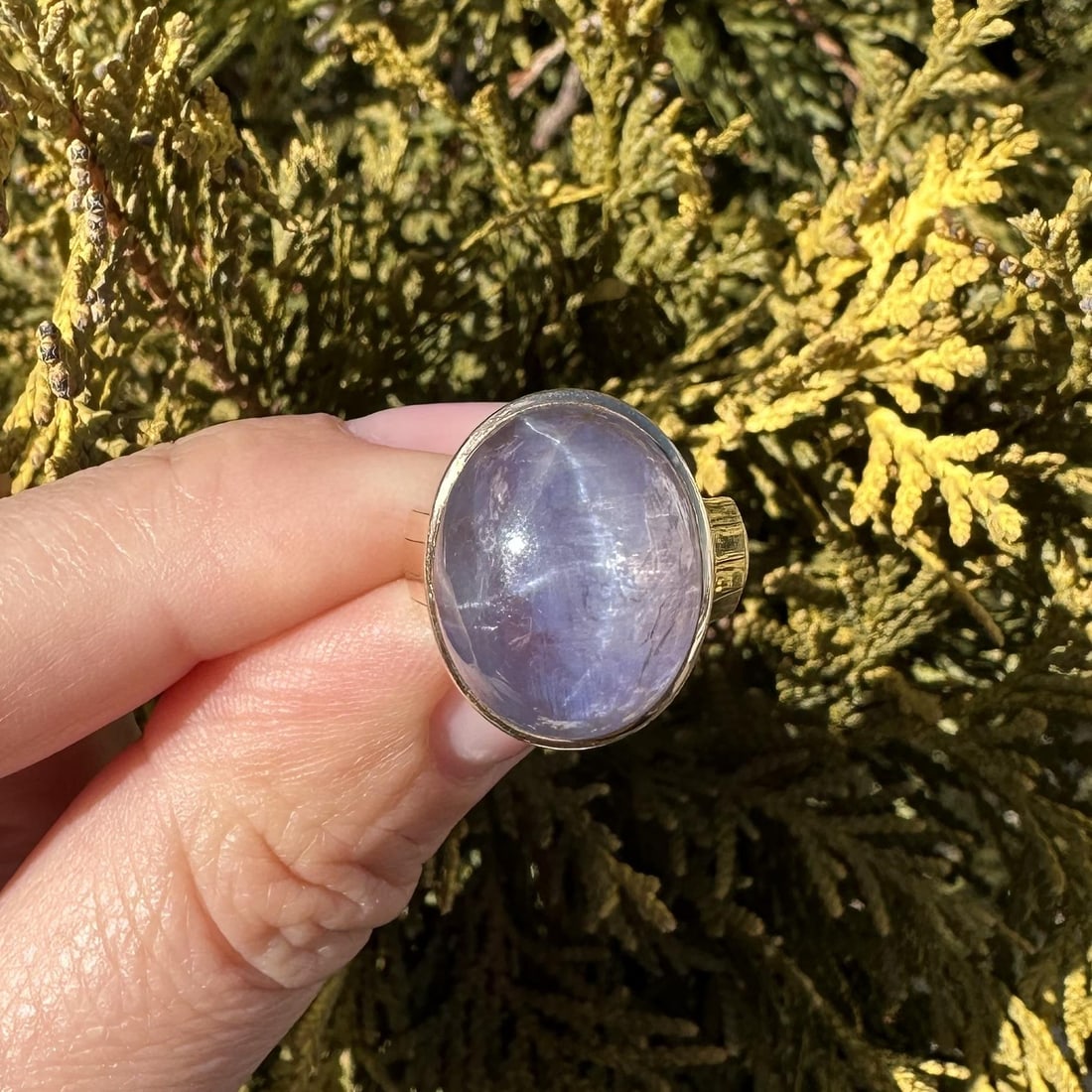 14k Yellow Gold Purple Star Sapphire Solitaire Ring - 12