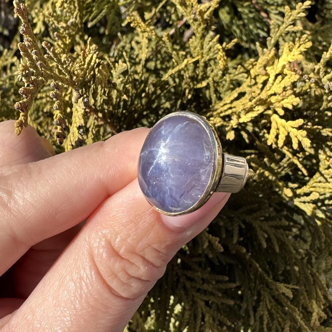 14k Yellow Gold Purple Star Sapphire Solitaire Ring - 13