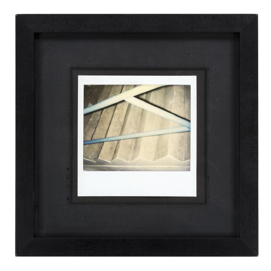 Andy Warhol Polaroid (1 of 2)