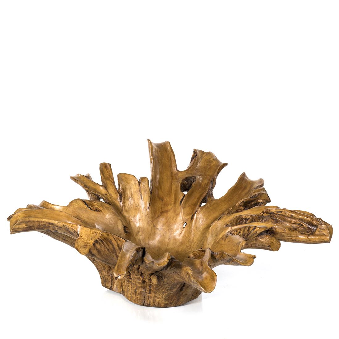 Monumental Cypress Root Bowl (1 of 5)