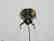 Stilnovo Chandelier - 6