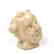 Large Porcelain Cherub Head - 3