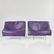 Gerard van den Berg Butterfly Lounge Chairs (2) - 2