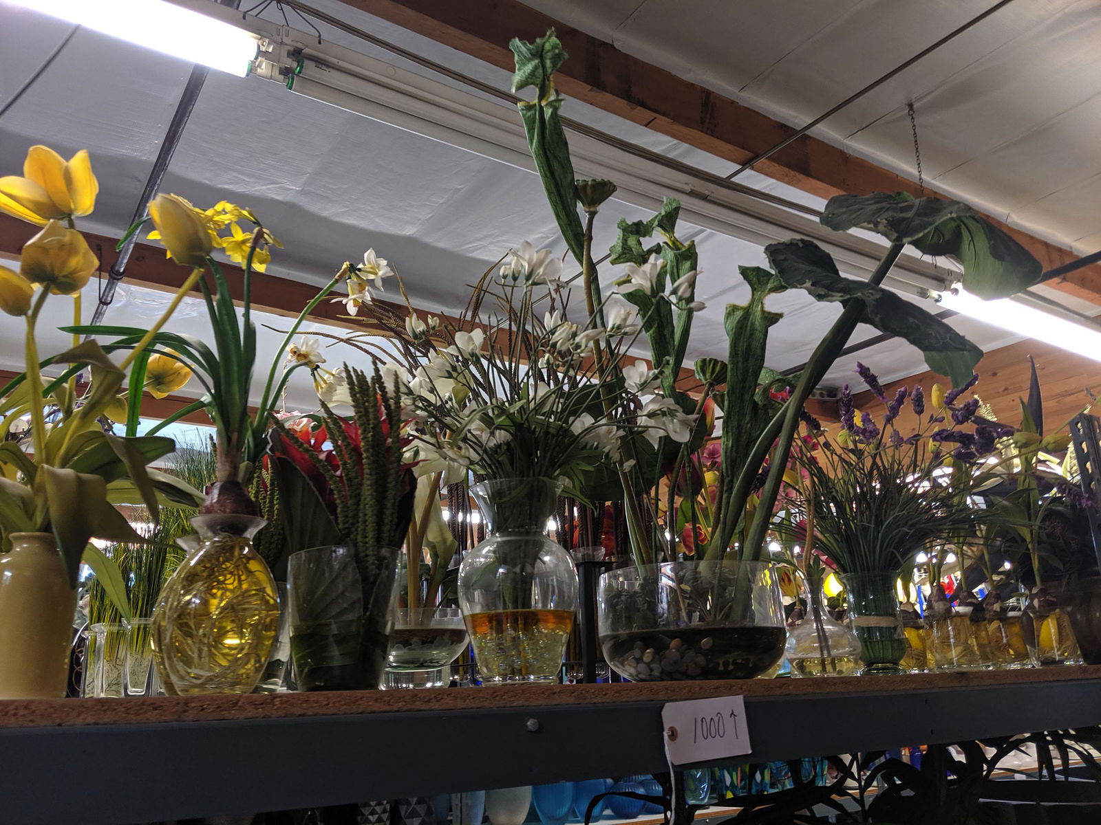 Lot - Faux Plants (5) (1 of 15)