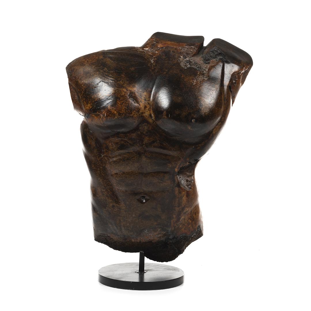 Sig de Tonancour Large Carved Male Torso (1 of 5)