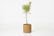 Architectural Pottery Planters (4) - 9