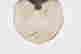 item-123819221=13