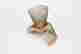 item-129469537=15