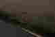 item-135468287=9