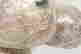 item-135468292=11