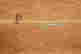 item-135468379=13