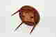 item-135468528=12