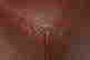 item-135468763=14