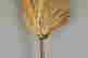 item-135468770=10