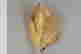 item-135468770=11