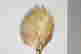 item-135468770=3