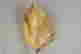 item-135468770=4