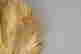 item-135468770=5