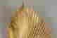item-135468770=6