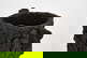 item-159987031=8