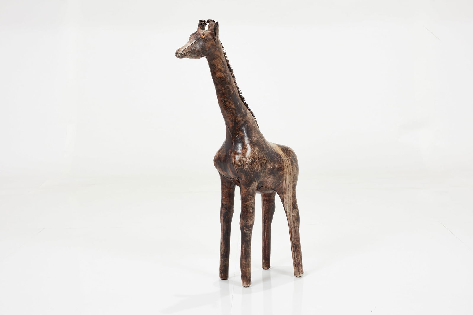 Dimitri Omersa, Giraffe (1 of 12)