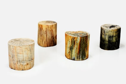 Contemporary, Petrified Wood Tables (4)
