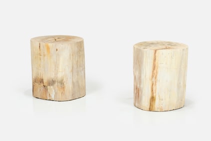 Contemporary, Petrified Wood Tables (2)
