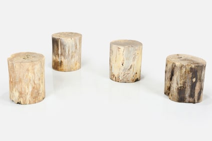 Contemporary, Petrified Wood Tables (4)