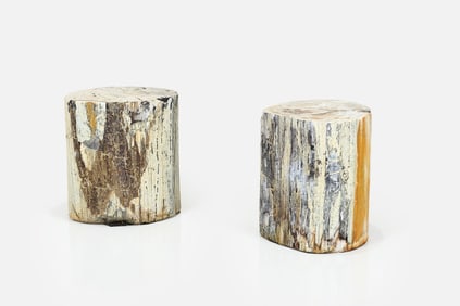 Contemporary, Petrified Wood Tables (2)