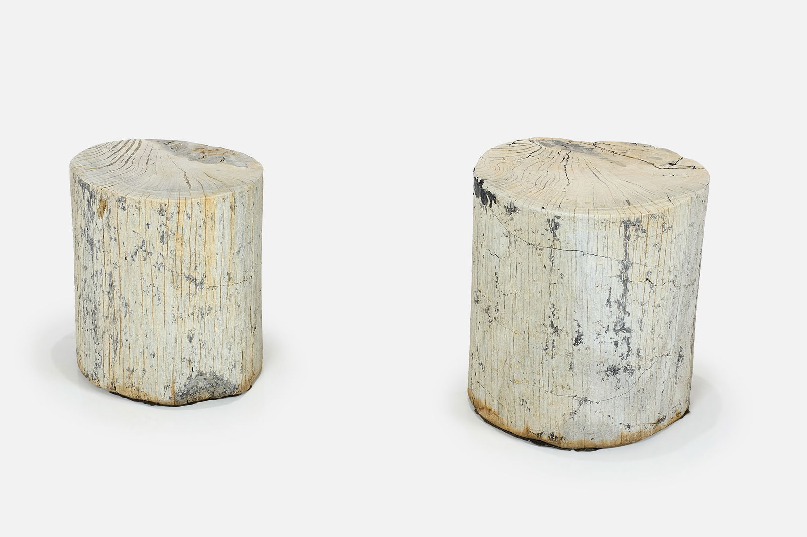 Contemporary, Petrified Wood Tables (2) (1 of 8)