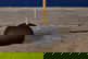 item-208472884=11