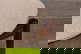 item-208472965=6