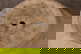 item-208472996=16
