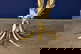 item-208473031=11
