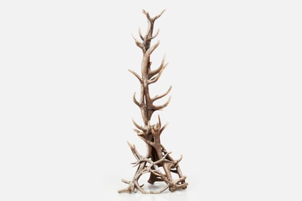 Ponderosa Farm, Antler Coat Rack