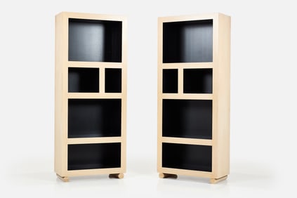 Modern, Custom Bookcases (2)