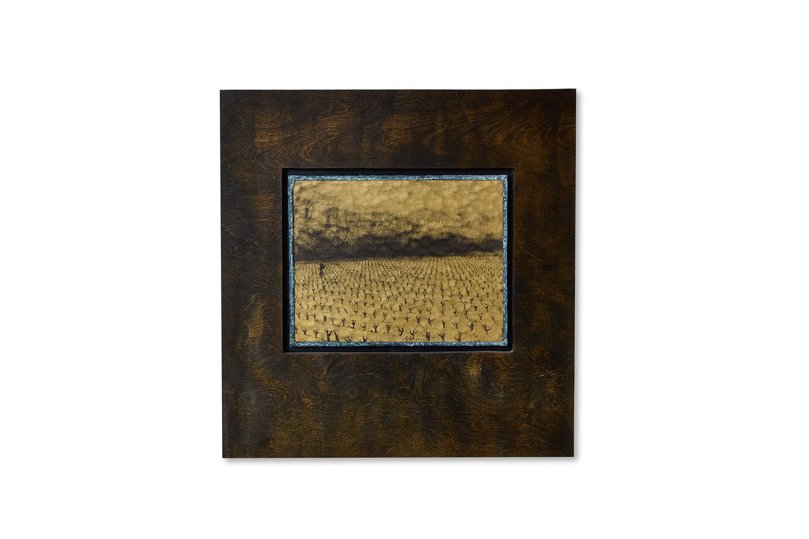 Christine Patterson, 'Vineyard in France': CHRISTINE PATTERSON 'Vinyard in France', 2004 Liquid emulsion on glass. Number one from the edition of five. Signed and dated verso, along with The Lowe Gallery label. 24" H x