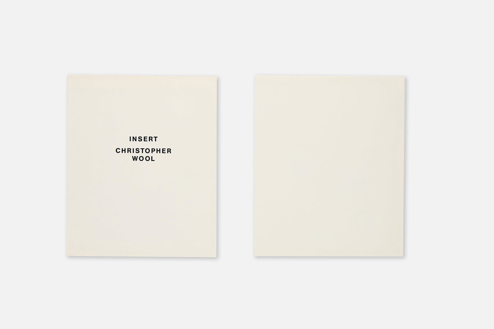 Christopher Wool, 'Run Dog Run' Insert (3) - 3