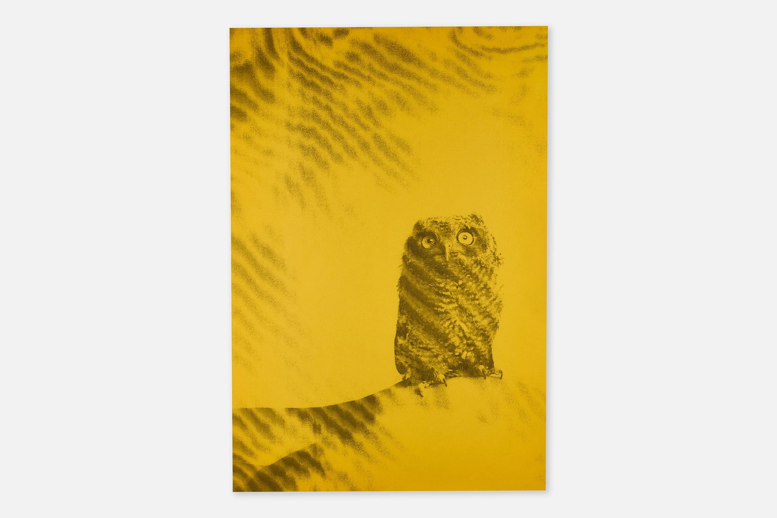 Ryan McGinley, 'Owl' Poster: RYAN MCGINLEY 'Owl' poster, 2011 Offset lithograph. Verso printed "ryan mcginley for agnes b. april 2011". 32.25" H x 21.75" W