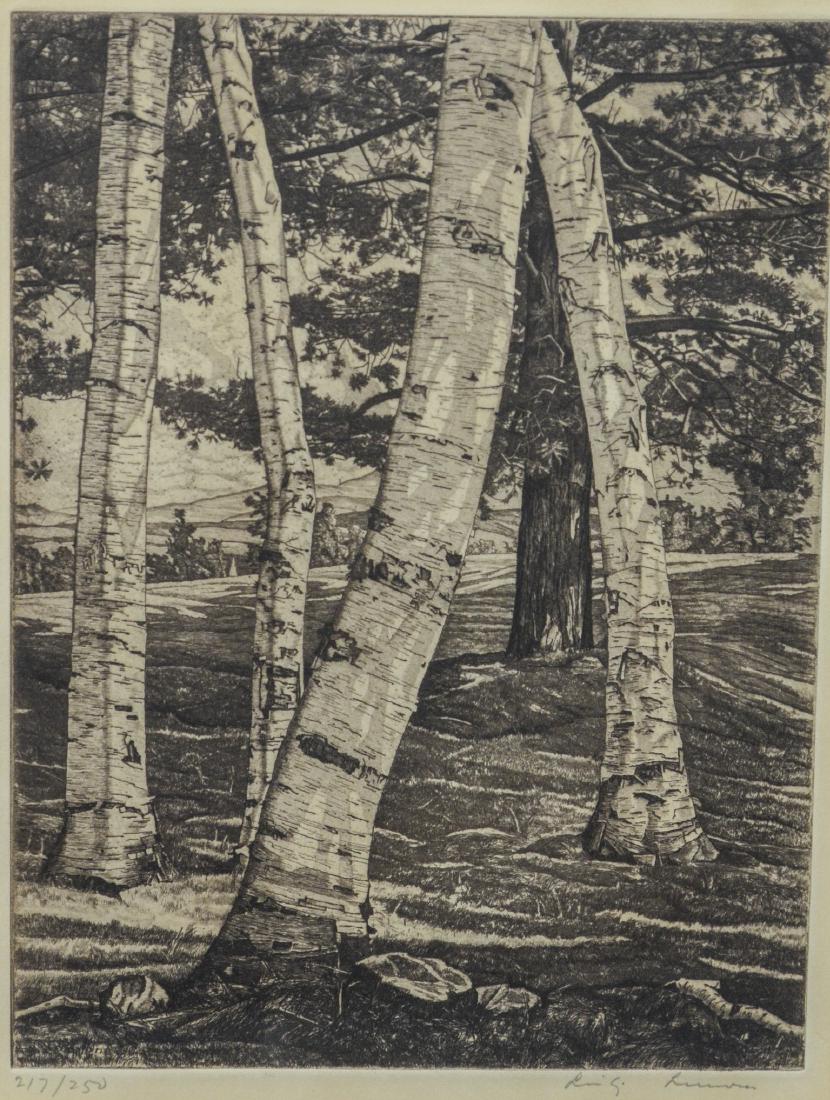 Luigi Lucioni etching, "Birches and Pine" (1 of 4)