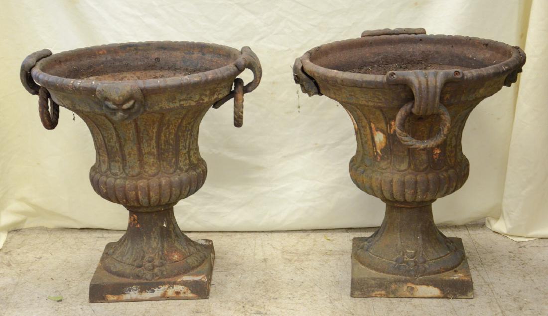 Pr cast iron planters with lion head decoration (1 of 3)