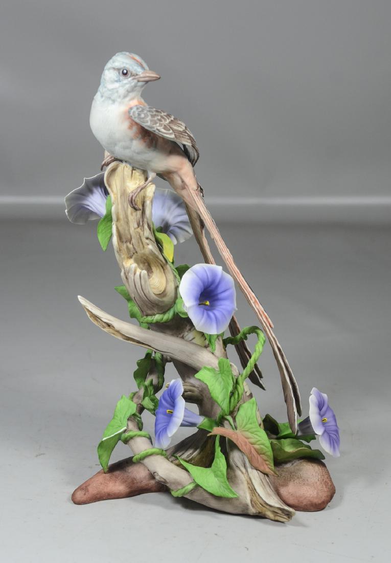 Boehm Scissor-Tailed Flycatcher (1 of 6)