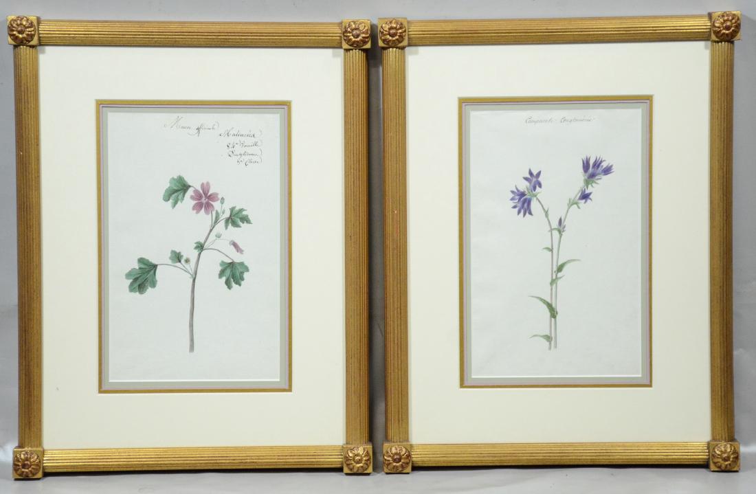Pair of Botanical Watercolor Paintings, unsigned (1 of 3)