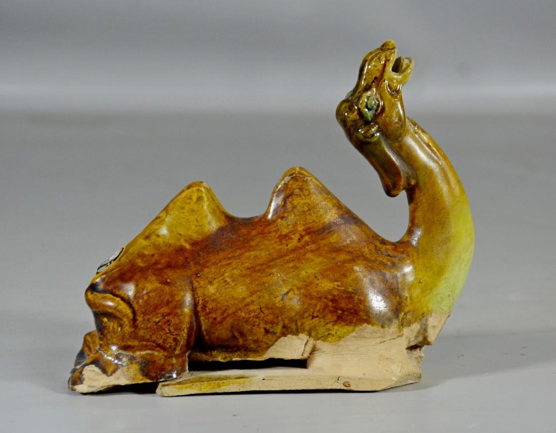 Bachrian Camel (1 of 4)