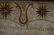 Dauphin County 1795 watercolor & ink fraktur - 4
